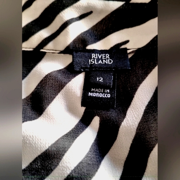 River Island Zebra Print Sheer Long Sleeve Top - Picture 9 of 11